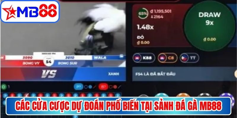 Các cửa cược dự đoán phổ biến tại sảnh đá gà MB88